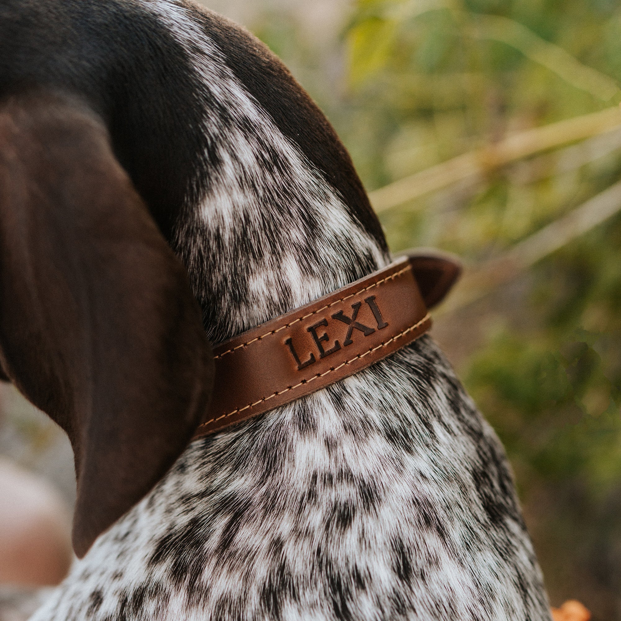 DogCollarFireBrandingPhoto.jpg