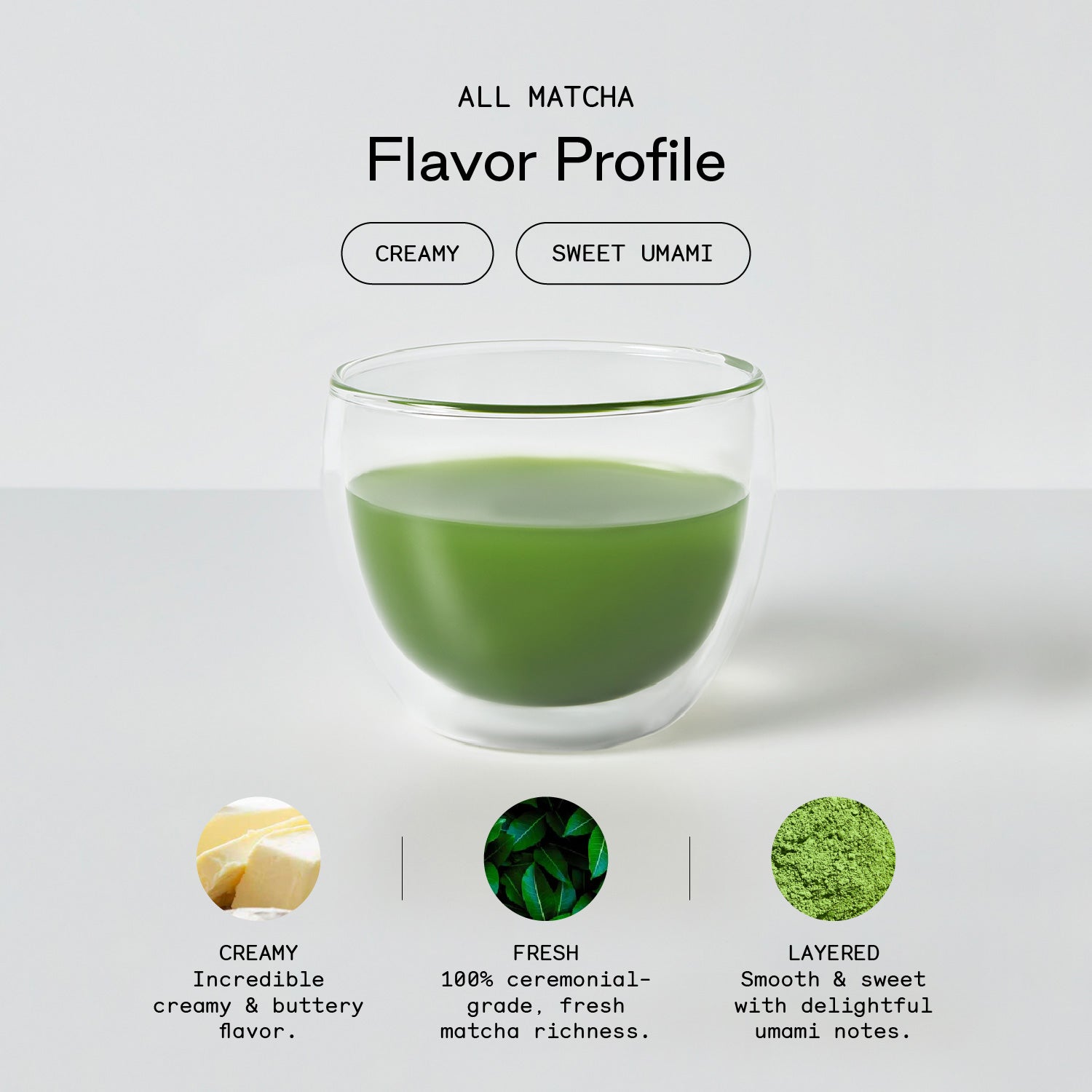 FlavorProfile-USAAllMatcha_d0933903-0d89-4f45-9e82-adc6f22d7e43.jpg