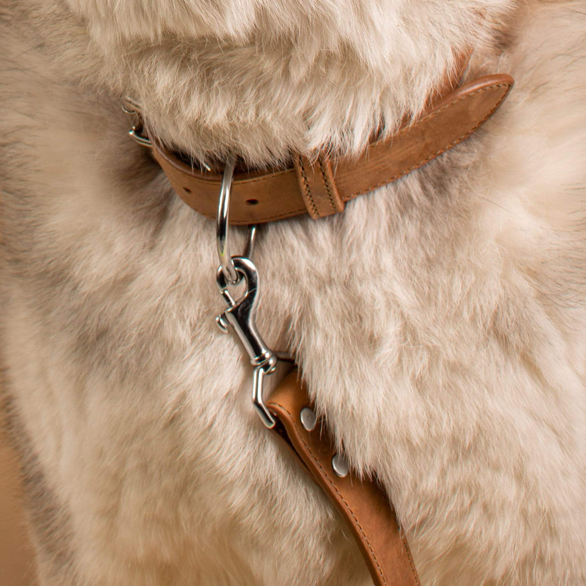Original Leather Leash by Genuine Canine