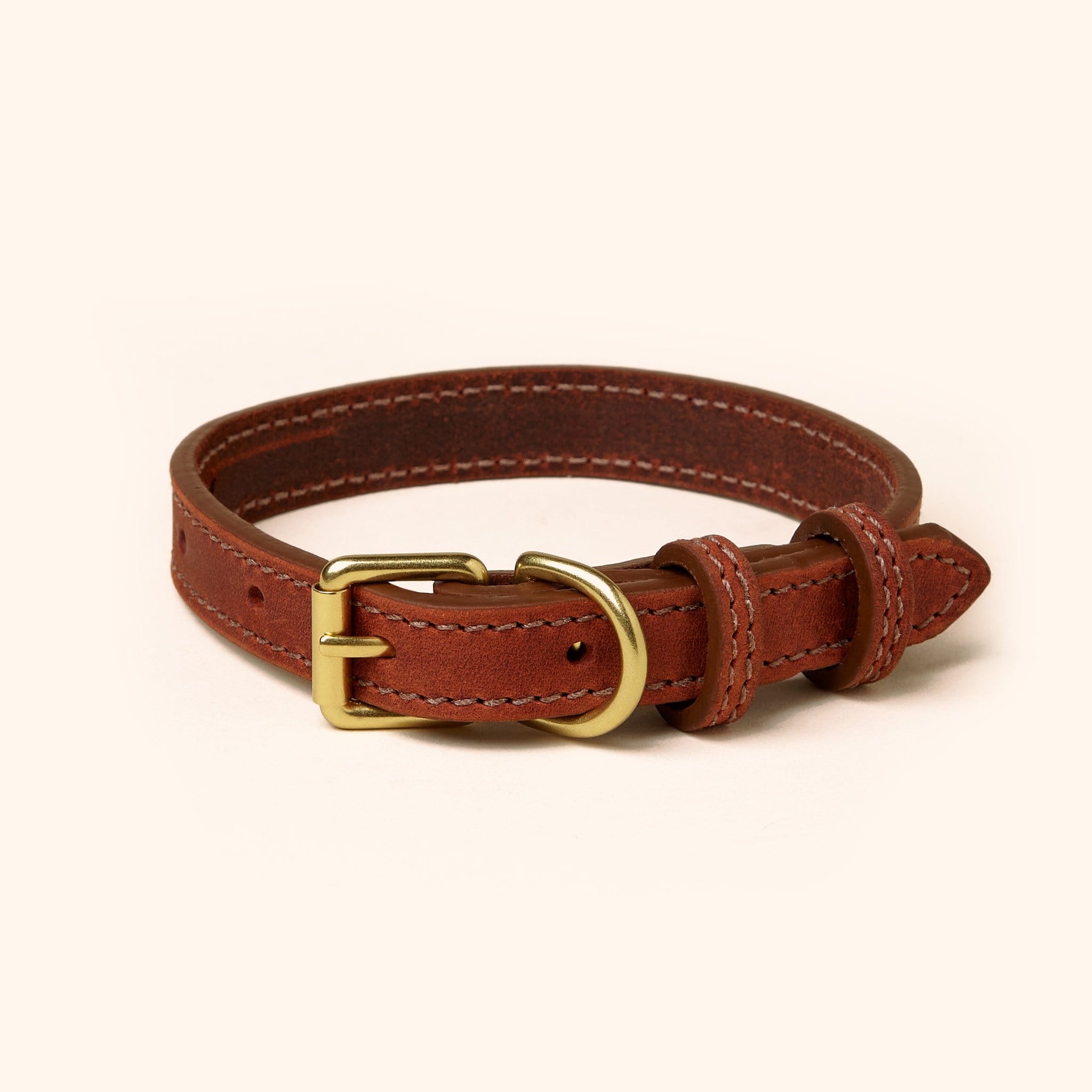 Signature Leather Dog Collar by Genuine Canine